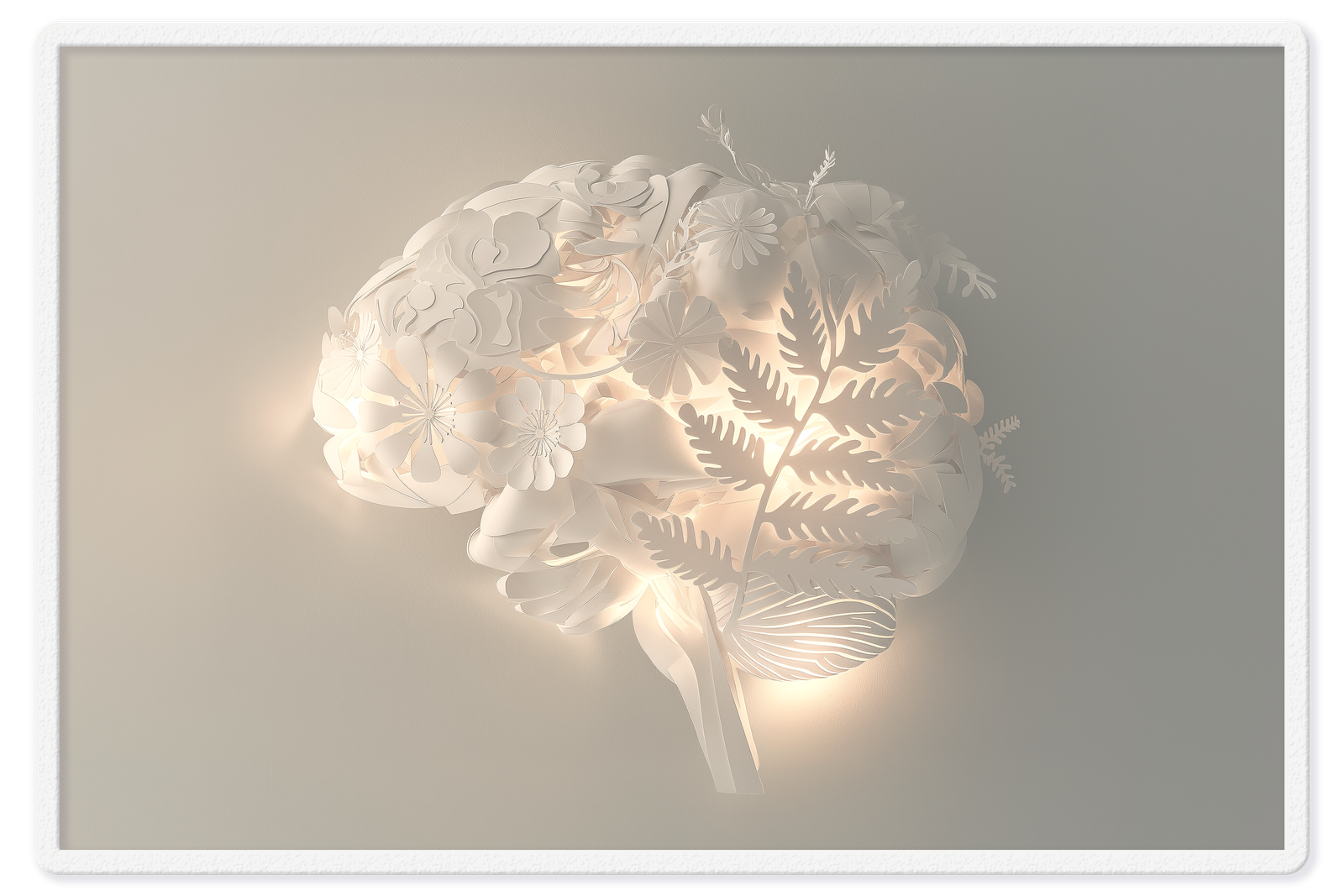 Paper Light Brain Border Frame